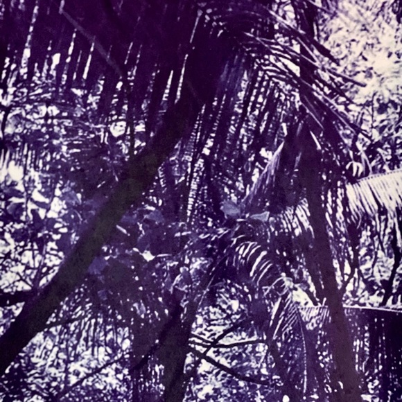 American AF Neon Arnold Schwarzenegger T-shirt Size M Bright Bold Terminator - Picture 5 of 5